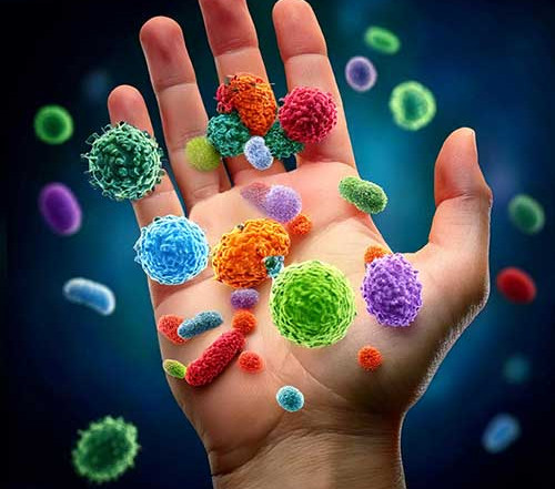 Razlike između virusnih i bakterijskih infekcija