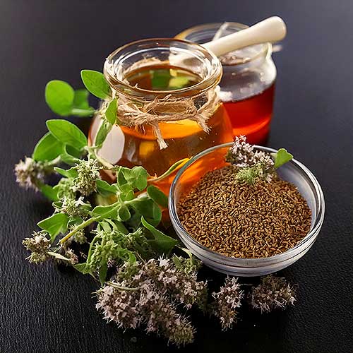 Najefikasniji prirodni proizvodi protiv bakterijskih infekcija