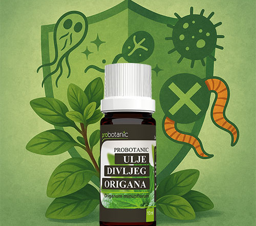 Paraziti-na-koje-deluje-ulje-divljeg-origana-naucni-uvid