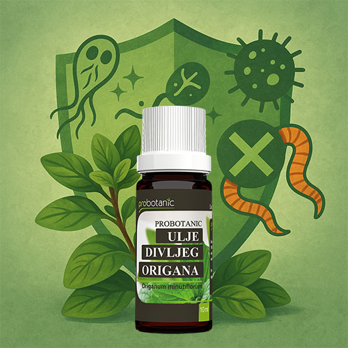 Paraziti-na-koje-deluje-ulje-divljeg-origana-naucni-uvid