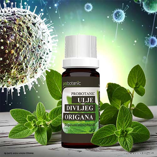 Antikancerogeno-delovanje-ulja-divljeg-origana