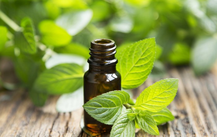 Naučna istraživanja koja dokazuju antibakterijsko i antivirusno delovanje origano ulja