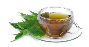 caj ok koprive u trudnoci